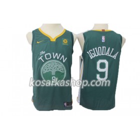 Dres Golden State Warriors Andre Iguodala 9 Nike 2017-18 Zelena Swingman